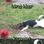 Zemanta Related Posts Thumbnail