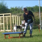 Zemanta Related Posts Thumbnail