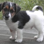 Zemanta Related Posts Thumbnail