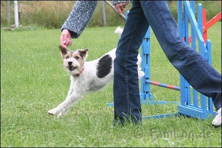 agility-27-06-07 002