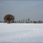 2010winterbaum