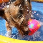 sommer02 sommer02