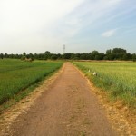 20110520-092729.jpg