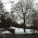 zwoelf2011-12-dezember
