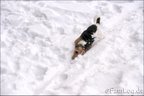 Ruhpolding 2007/2008