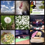 Week-in-PIX-2013 #19