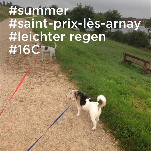 Um den See ;) #luros #arnay-le-duc #instaweather #wetter #frankreich