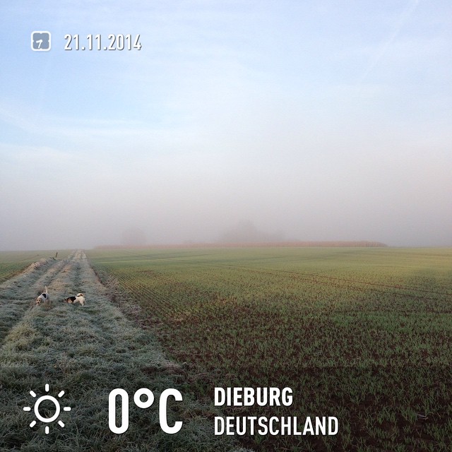 Sonne gegen Nebel 1:0 ;) #instaweather #dieburg #wetter