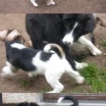 Zemanta Related Posts Thumbnail