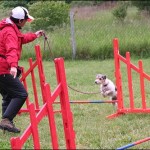 Zemanta Related Posts Thumbnail