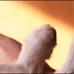 Zemanta Related Posts Thumbnail